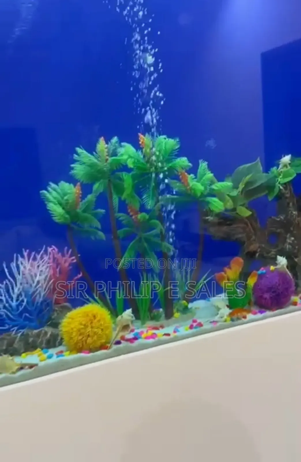 Standing Aquarium