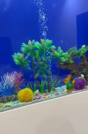 Standing Aquarium
