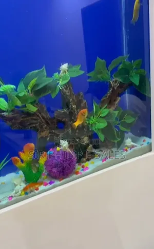 Standing Aquarium