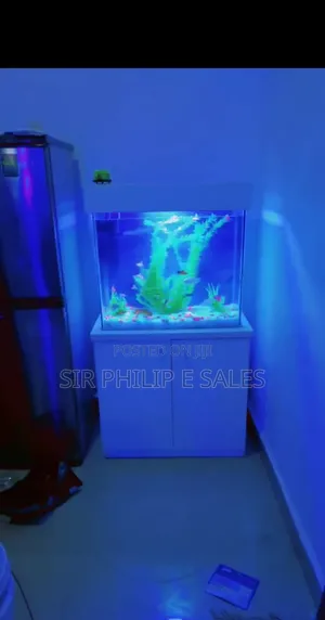 Standing Aquarium