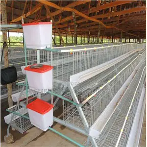 Poultry Battery Cages