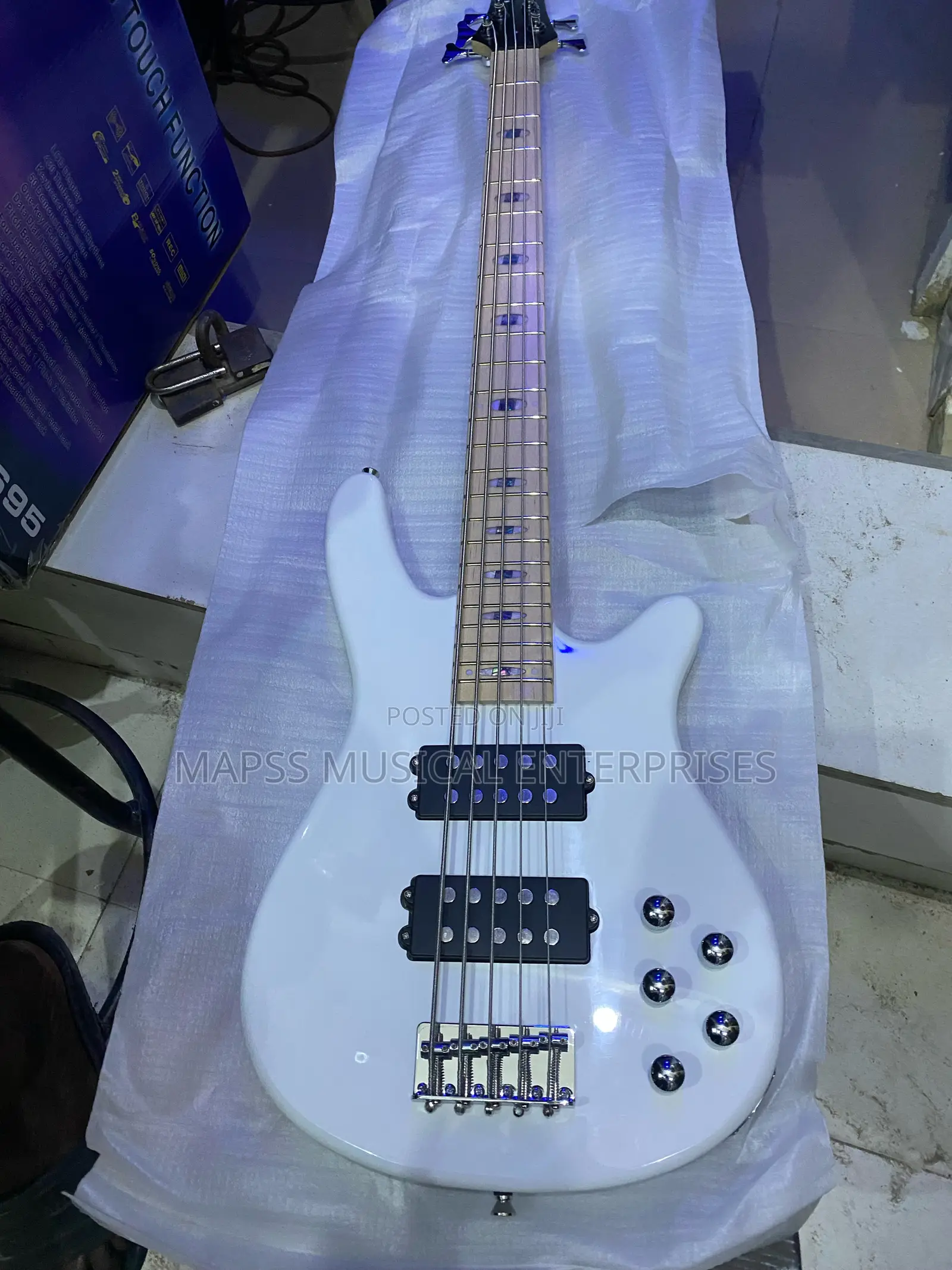 Five String Passive Alvarez Bass Guitar