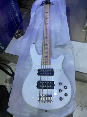 Five String Passive Alvarez Bass Guitar
