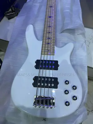 Five String Passive Alvarez Bass Guitar