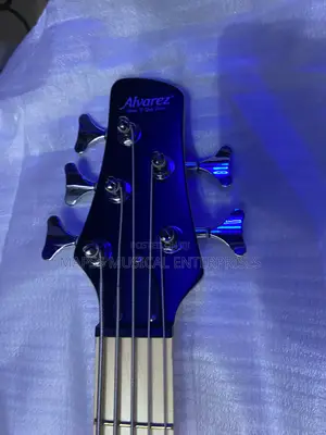 Five String Passive Alvarez Bass Guitar