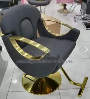 Professional Salon/Spa Leather Chairs.