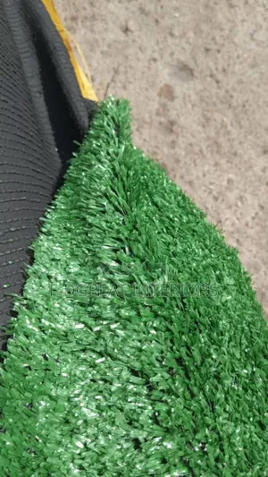 Carpet Grass the Best in Market