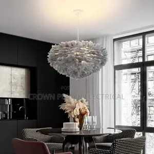 Beautiful Dropping Feather Light