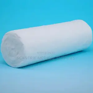 Cotton Lint