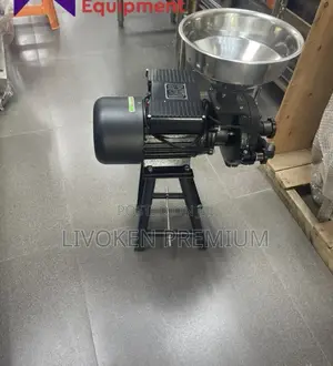 Wet and Dry Grinder