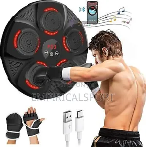 Wall Mounted Boxing