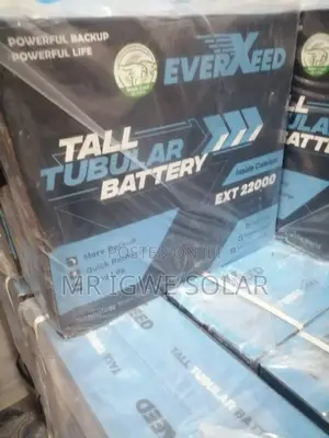 Everxeed Tall Tubular Battery 220ah