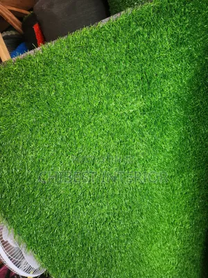 Brand New Green Carpet Grass.