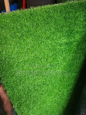 Luxury Green Carpet Grass.