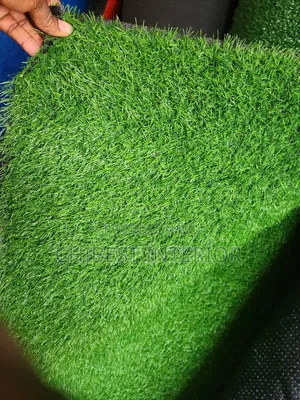 Advanced Carpet Grass Used in Homes, Shops, Hotels Etc