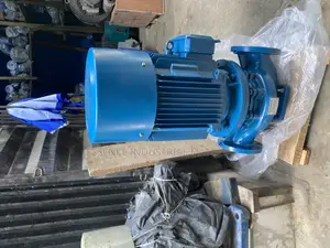Hot Sale Petterson Vertical Water Pump