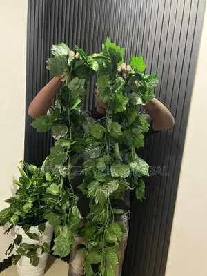 Vine Leaves Creeping Flower