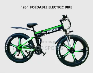 Electric Big Tire Bicycle With Accessories