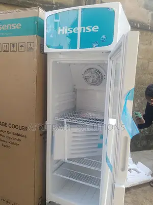 Hisense 222litre Single Door Standing Beverage Cooler