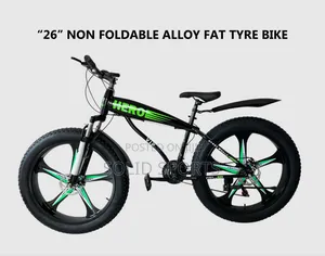 Brand New Big Tire Bicycle