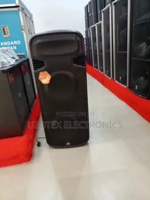 Standard Double 15 Public Address Speaker