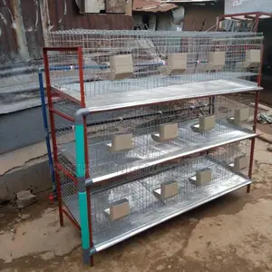 Newly Built Rabbit Cages