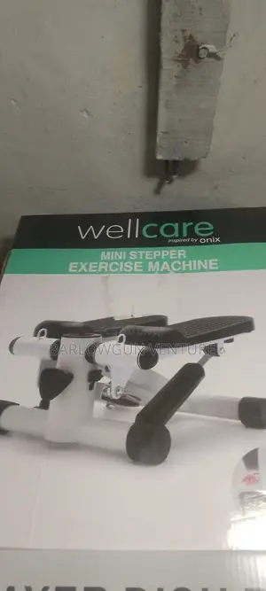 Mini Stepper Exercise Machine