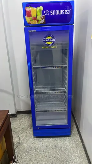 Chillers 300 Liters