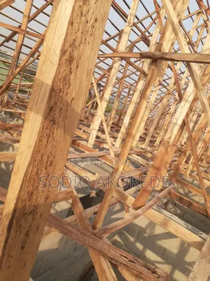 Carpenter / Building Construction