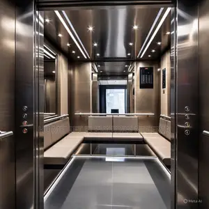 Public Passenger Elevators for Visitors