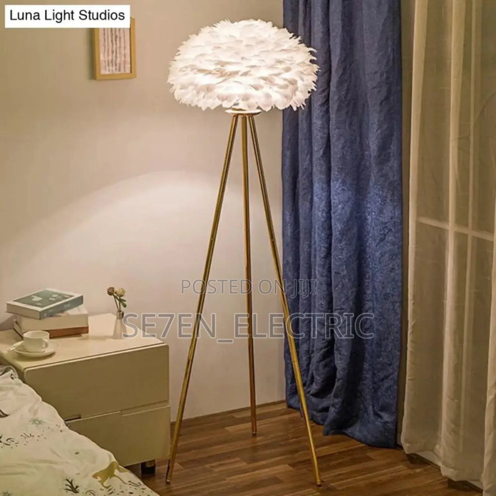 Interior Stand Lamp Ostrich Feathers.