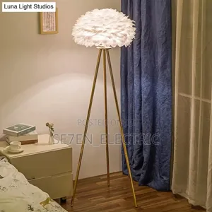 Interior Stand Lamp Ostrich Feathers.