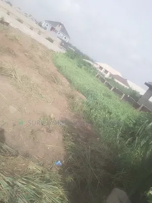 Half Plot of Land at the Back of Igbo-Olomu Health Center