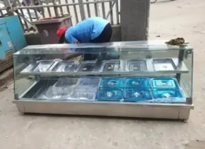10 Plate Food Warmer
