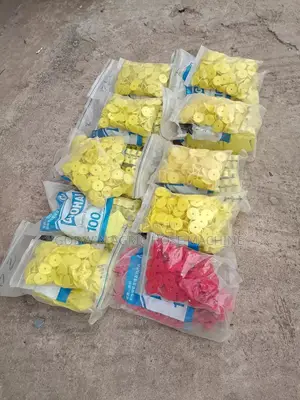 Animals Ear Tags