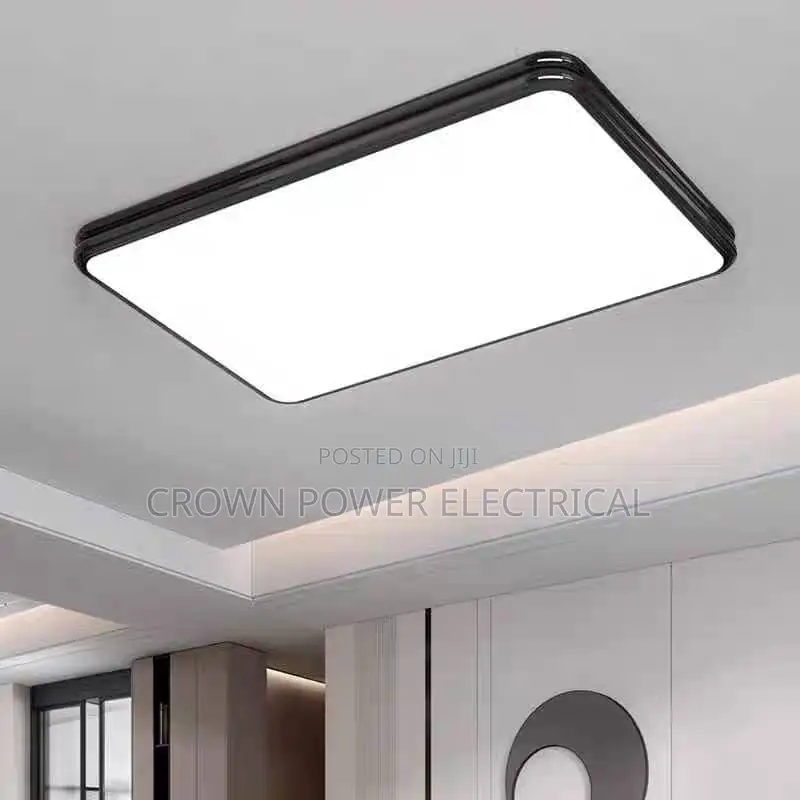 Chandelier and Ceiling Light