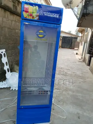 Commercial Upright Fridge - Snowsea Lc-400w 400l