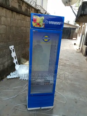 Snowsea Lc-400w - Perfect Upright Fridge for Grocers