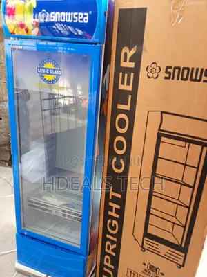 Snowsea Lc-400w Upright Refrigerator - Elegant Practical
