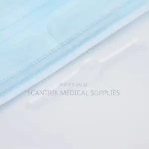 Spa or Salon Mask