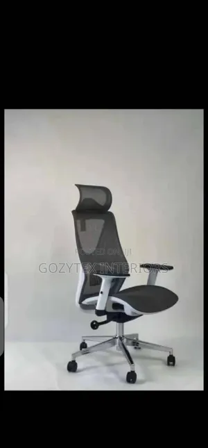 Mesh Executive Office Chair