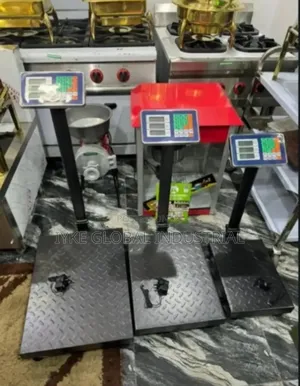 Standing Digital Scale 300kg,150kg 100kg