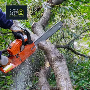 Safe Tree Trimming Removal Services