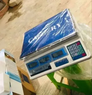 Digital Scale
