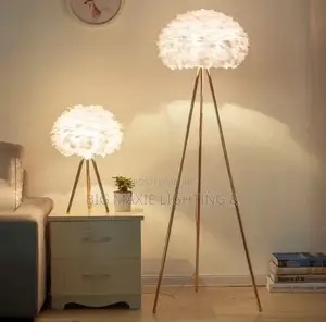 Modern Feather Floor Lamps