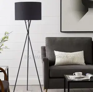 Modern Living Room/Bed Room Floor Lamp