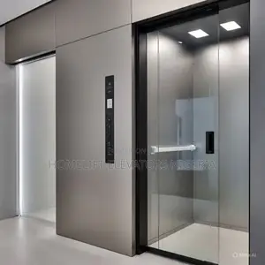 Home Lift Suited for Accessibility
