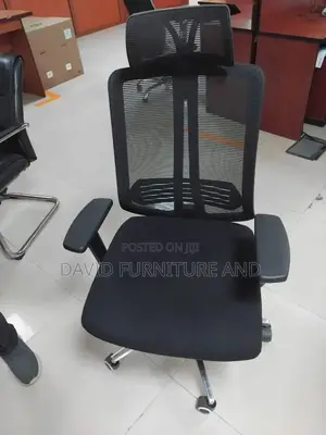 Adjustable Net Chair