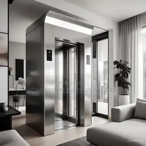 Home Lift Wheelchair-Friendly