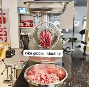 Meat Mincer Grinder Machine in All Sizes